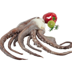 Giant Squid Tentacles (Chinese)