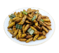 Silk Worm