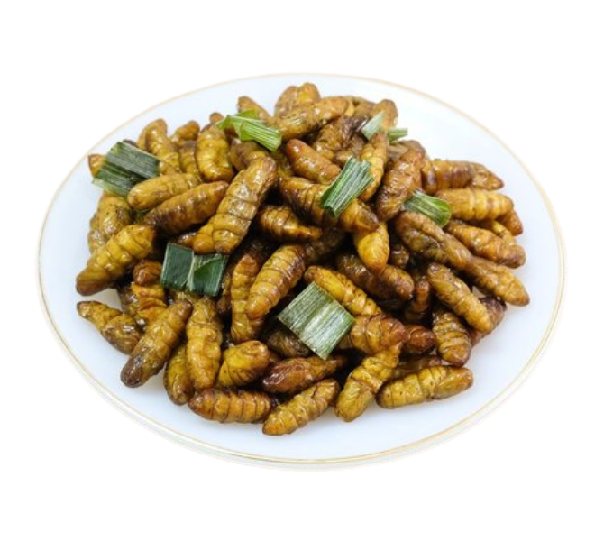 Silk Worm
