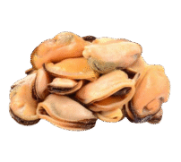 frozen mussel meat