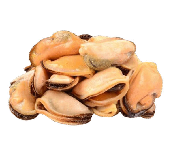 Frozen Mussel Meat