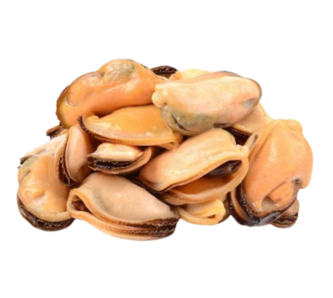frozen mussel meat