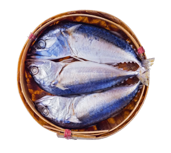 Steamed Mackerel